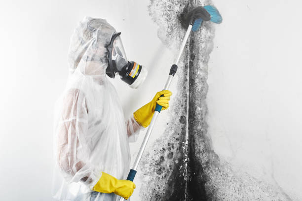 Asbestos and Lead Testing During Mold Inspection in Evansville, WY
