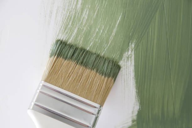 Best Water Damage & Mold Remediation  in Evansville, WY