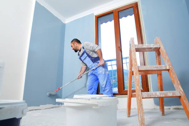 Best Mold Removal for HVAC Installations  in Evansville, WY