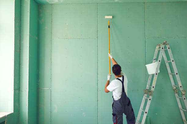 Best Emergency Mold Remediation  in Evansville, WY