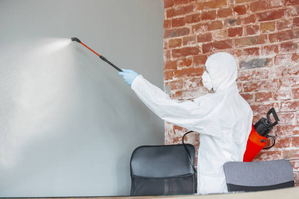 Best Dehumidification Services  in Evansville, WY