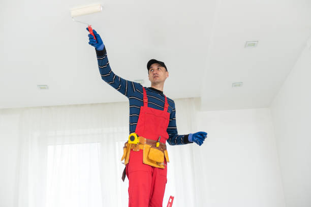  Evansville, WY Mold Removal Pros