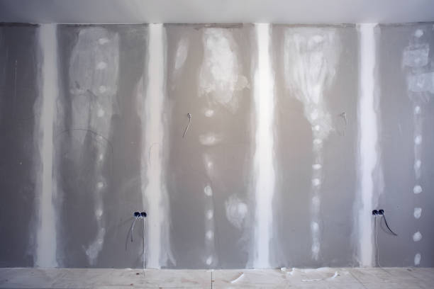 Best Mold-Related Health Consultation  in Evansville, WY